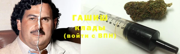 индика Армянск