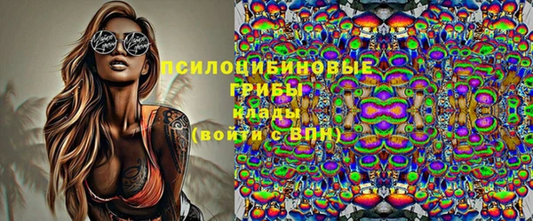 индика Армянск