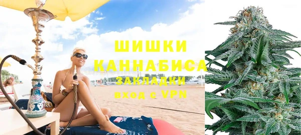 индика Армянск
