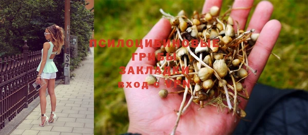спиды Аркадак