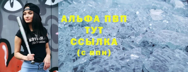 индика Армянск