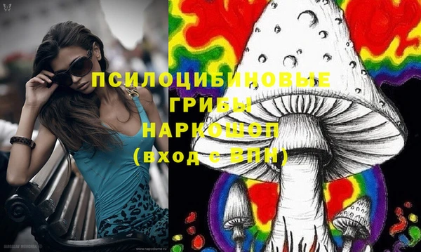индика Армянск